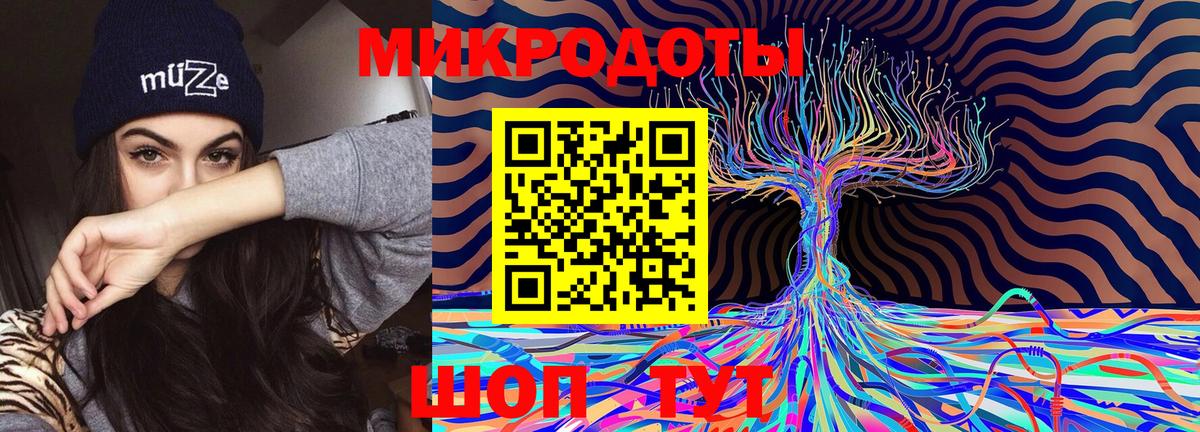 Псилоцибиновые грибы мицелий  Псилоцибиновые грибы прущие грибы  Чернушка  Вход с VPN 
